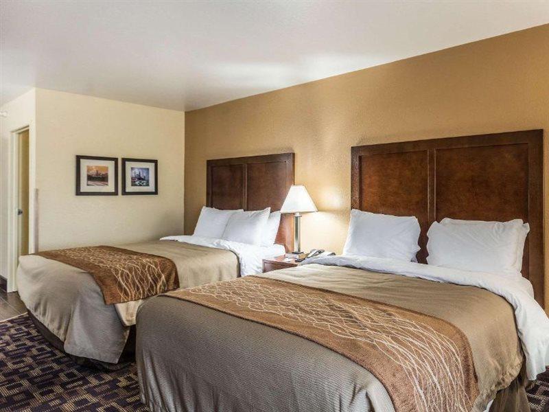 Comfort Inn & Suites North Aurora - Naperville Ngoại thất bức ảnh