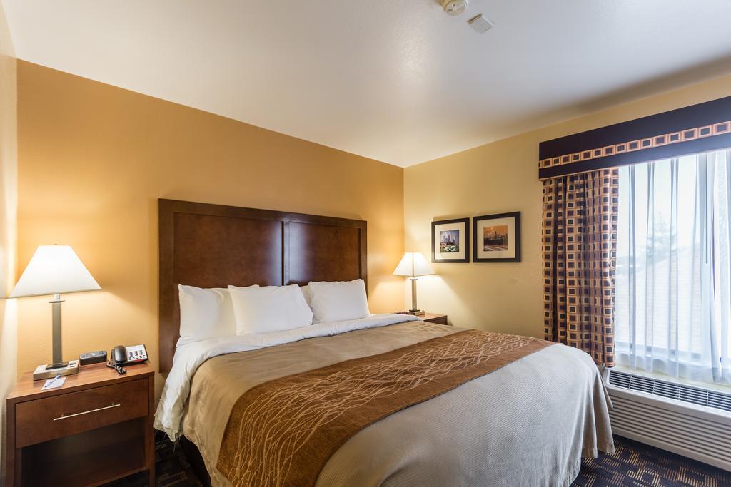 Comfort Inn & Suites North Aurora - Naperville Ngoại thất bức ảnh
